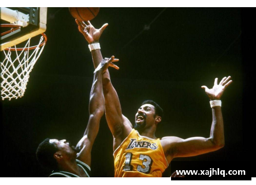 深入探索NBA：历史、战术与球员全景