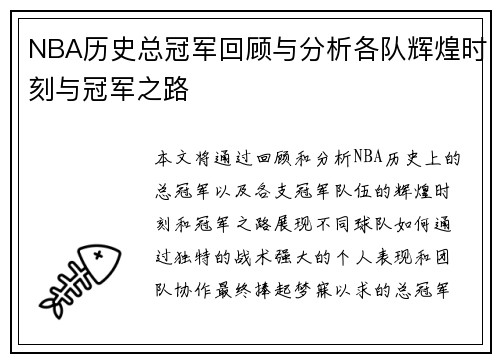 NBA历史总冠军回顾与分析各队辉煌时刻与冠军之路