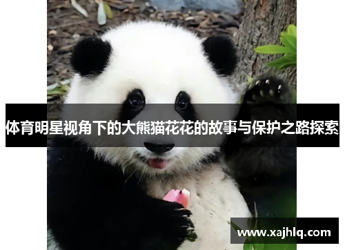 体育明星视角下的大熊猫花花的故事与保护之路探索